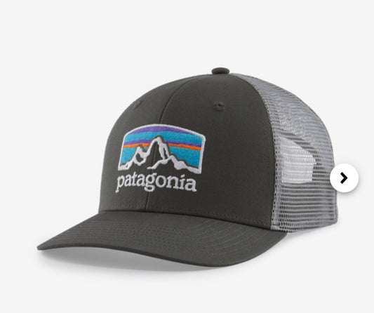 Patagonia Fitz Roy Horizons Trucker Hat -BHI