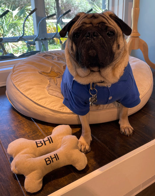 Custom BHI Dog Bone - BHI