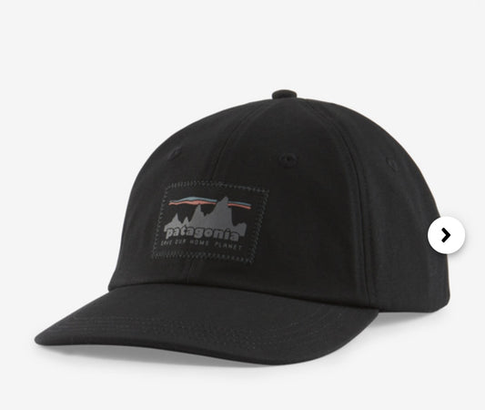 Patagonia ‘73 Skyline Traditional Cap - BHI