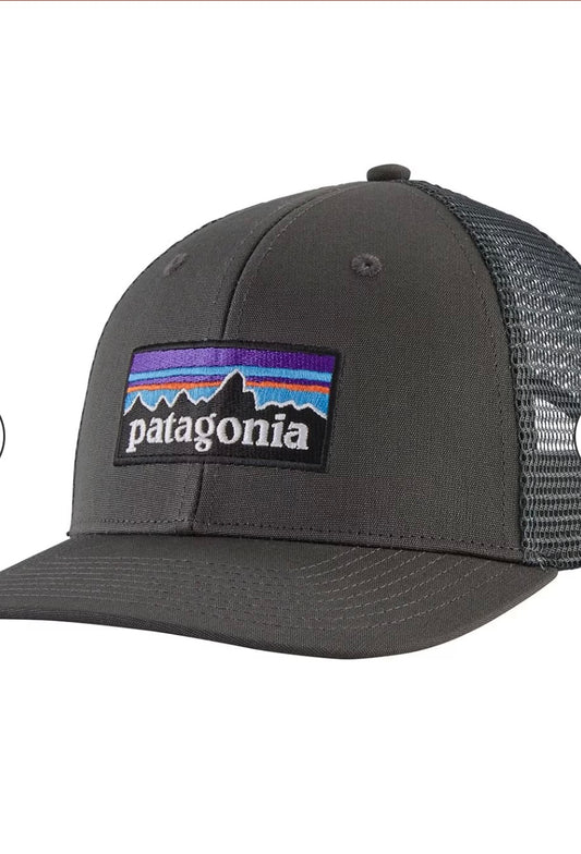 Patagonia P-6 Logo Trucker Hat - BHI
