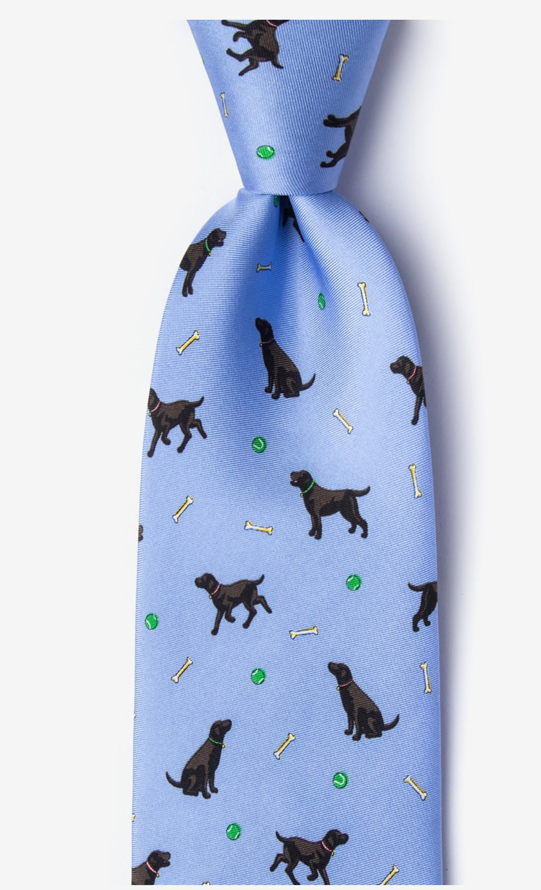 Men’s Alynn Silk Tie - BHI