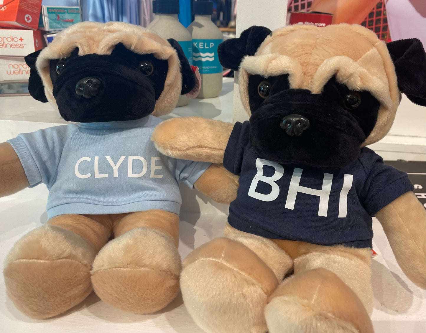 Clyde the Pug Personalized Dog - BHI