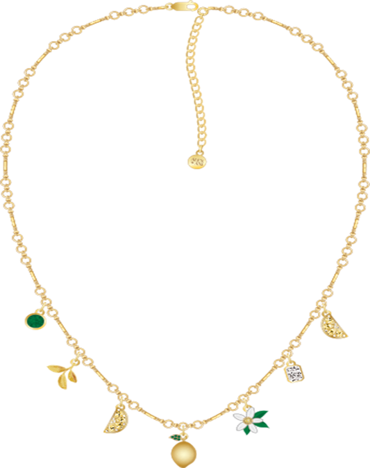 Alex & Ani - Lemon 2 Row Necklace - BHI