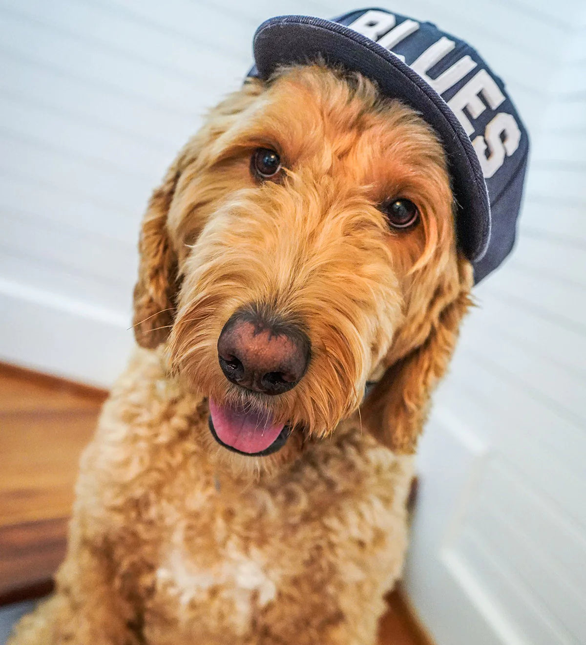 Retro Hat-Navy-RETROCAP-Baldhead blues
