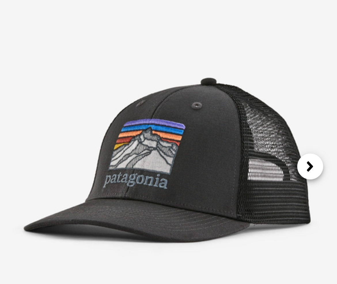 Patagonia Line Logo Ridge Lo Pro Trucker Hat - BHI