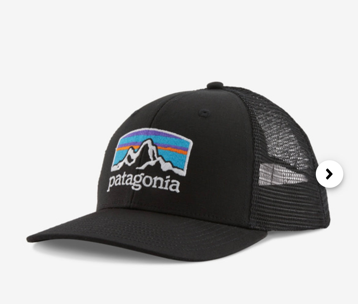 Patagonia Fitz Roy Horizons Trucker Hat -BHI