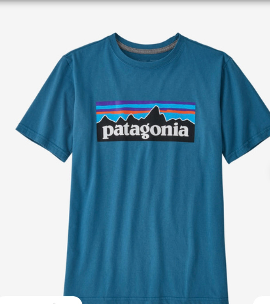 Patagonia Kid’s Regenerative Organic Certified Logo T - BHI
