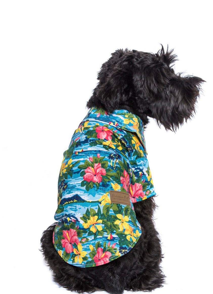 Parisian Pet Hawaiian Camp Shirt for Dogs -BHI