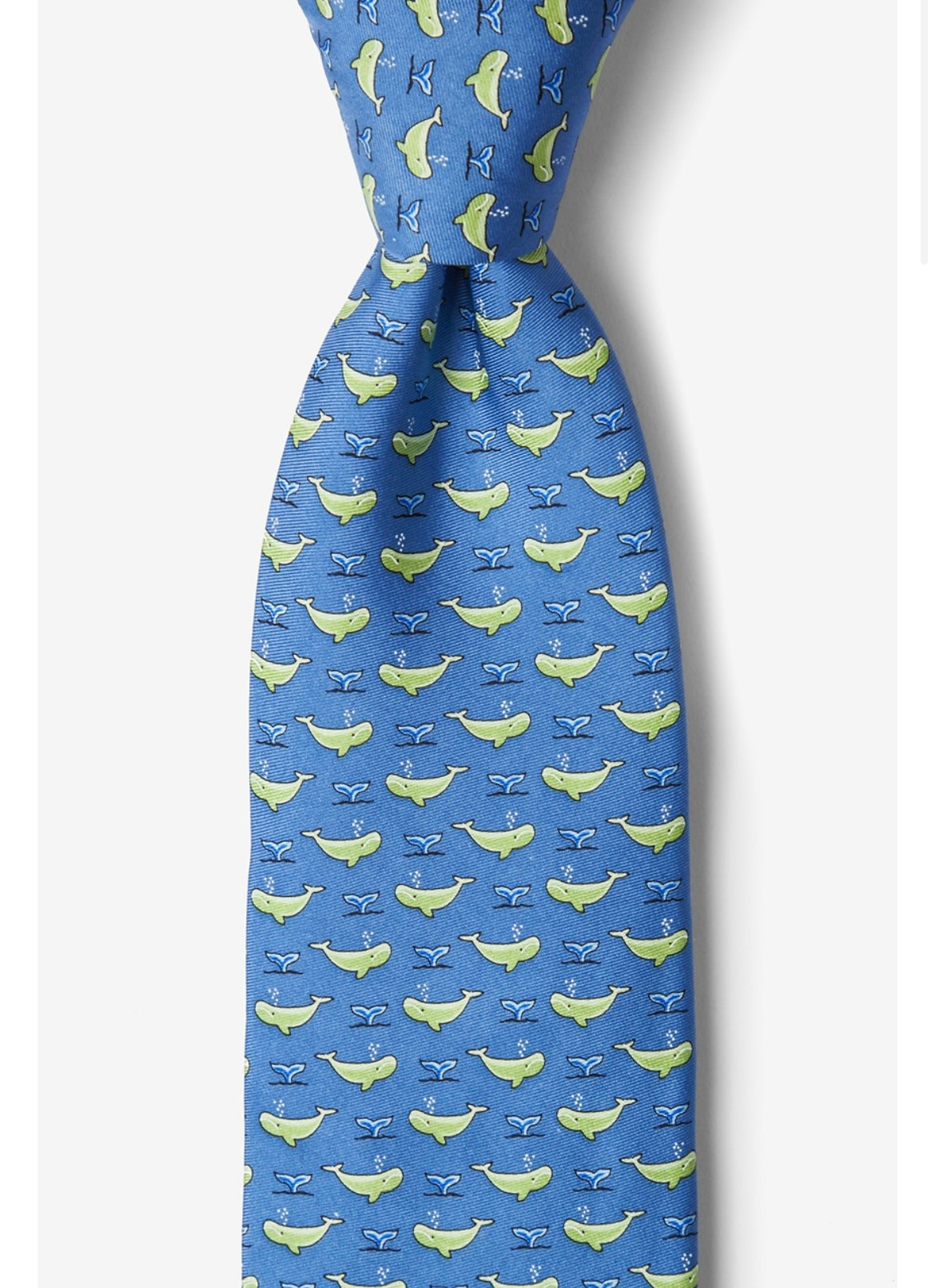 Men’s Alynn Silk Tie - BHI