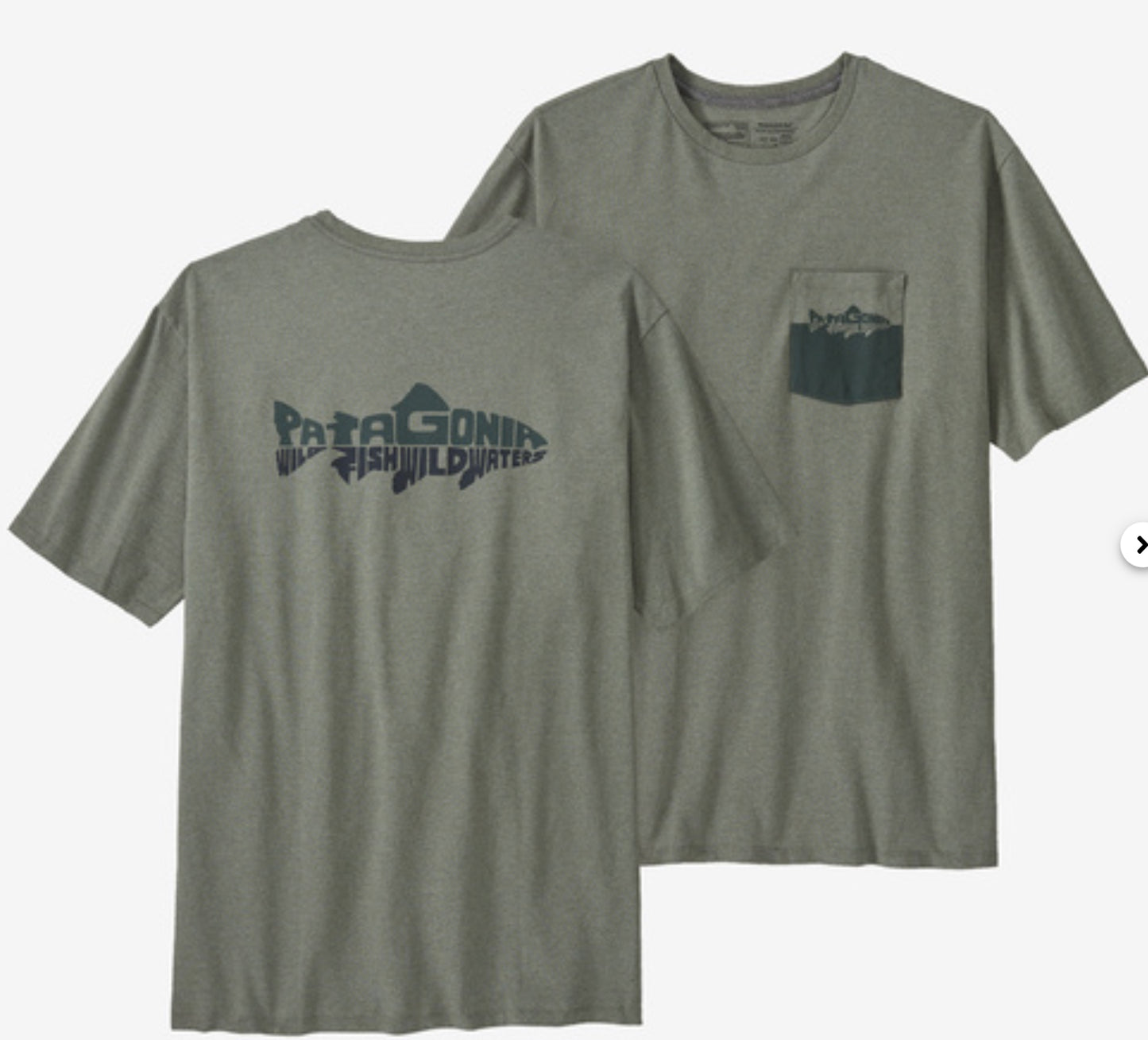 Patagonia Men's Wild Waterline Pocket Responsible T-shirt-BHI
