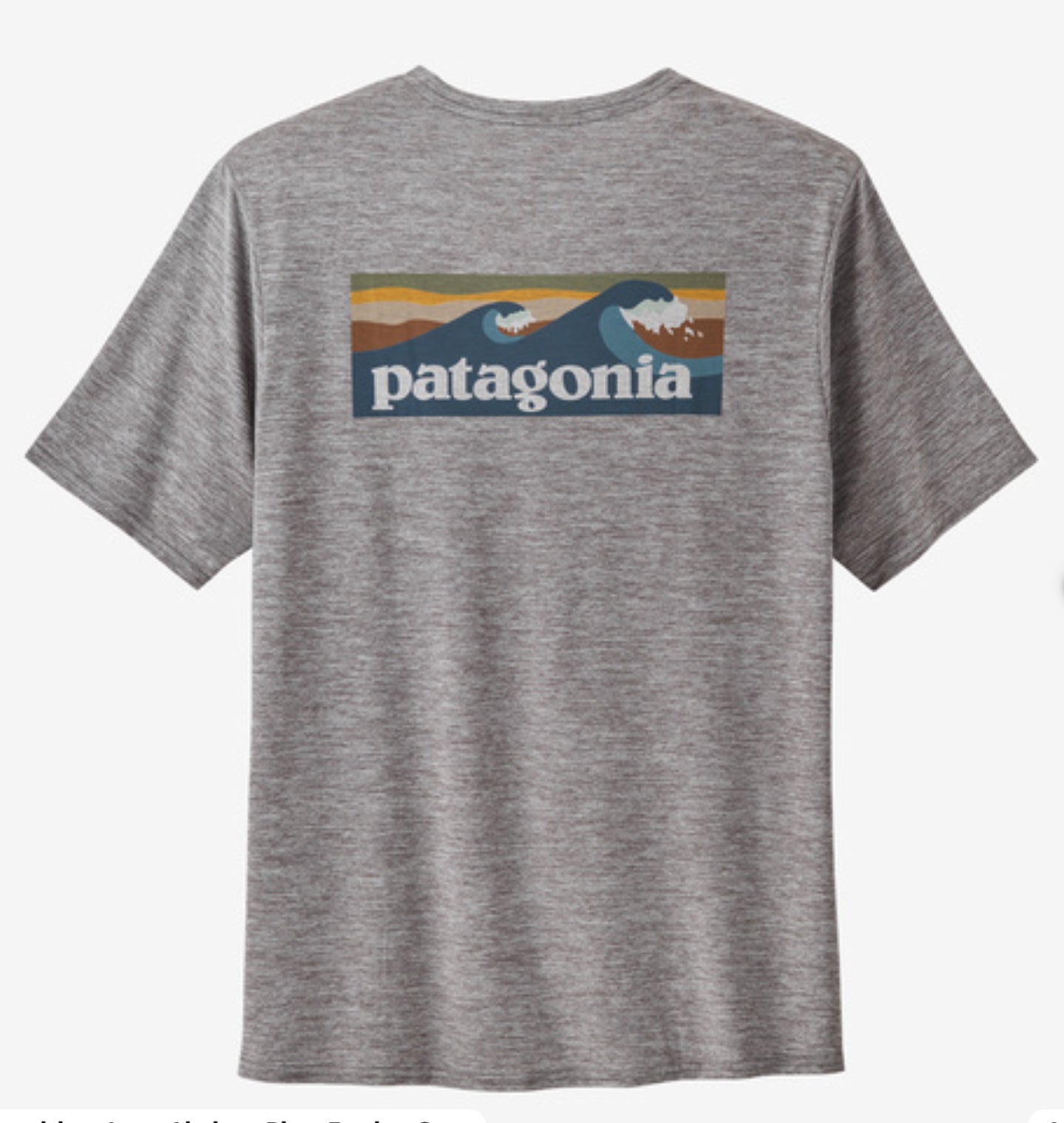 Patagonia Men's Capilene® Cool Daily Graphic Shirt -BHI