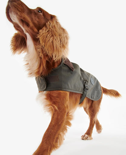 Wax Dog Coat - Olive - Barbour