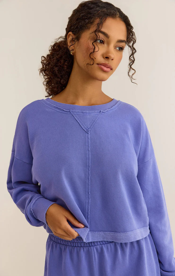 Party in the Back Sweatshirt- Baja Blue - Z SUPPLY