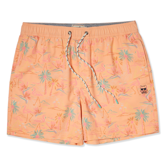 Party Pants - Whatha Flock | Coral