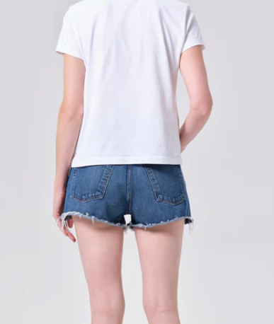 Agolde Parker Shorts Vintage