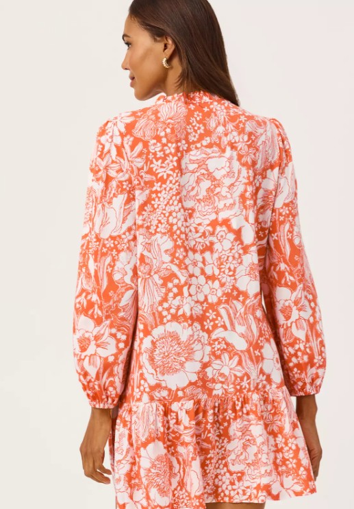 Lilly Pulitzer Shaley Tunic Popover Dress
