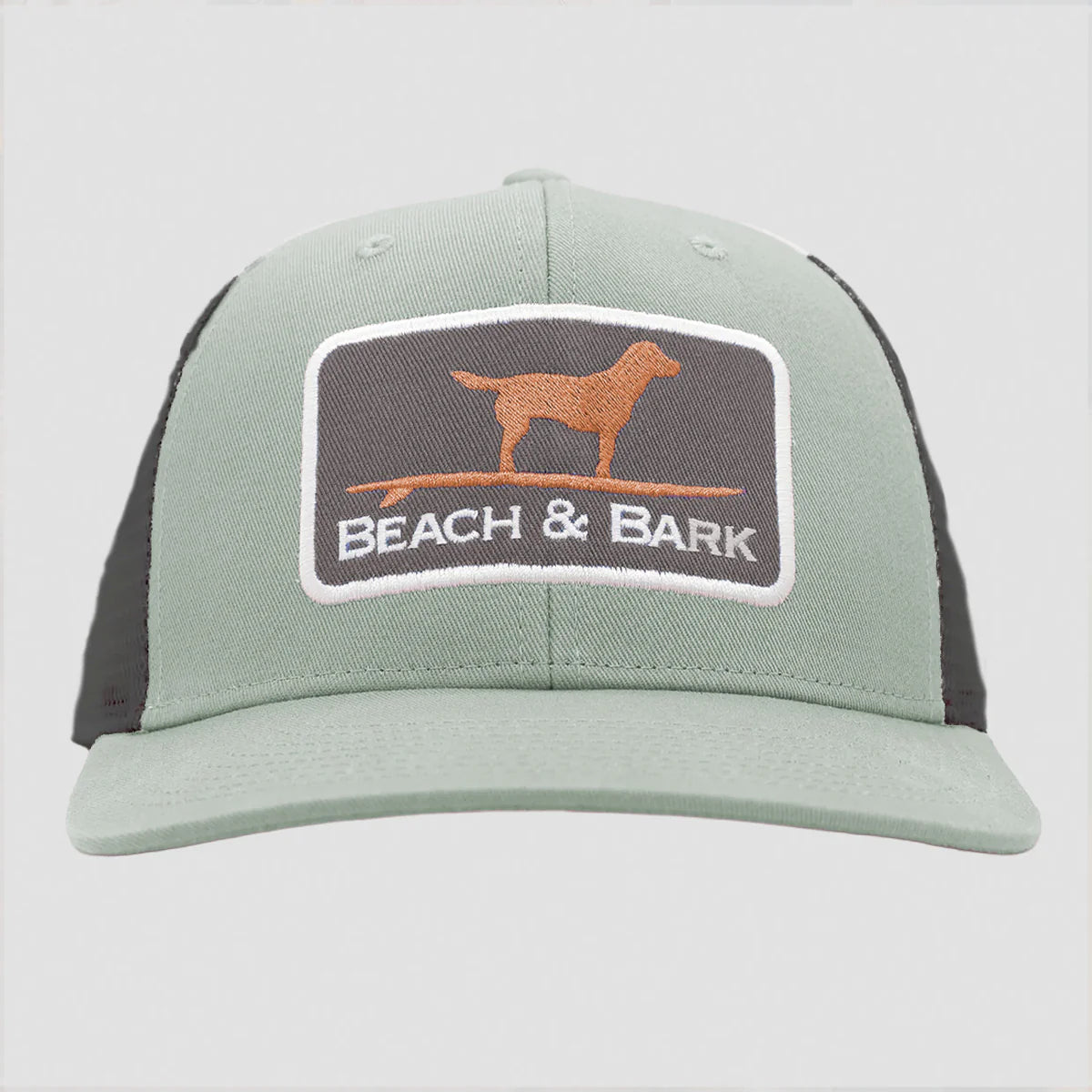Beach & Bark Fern