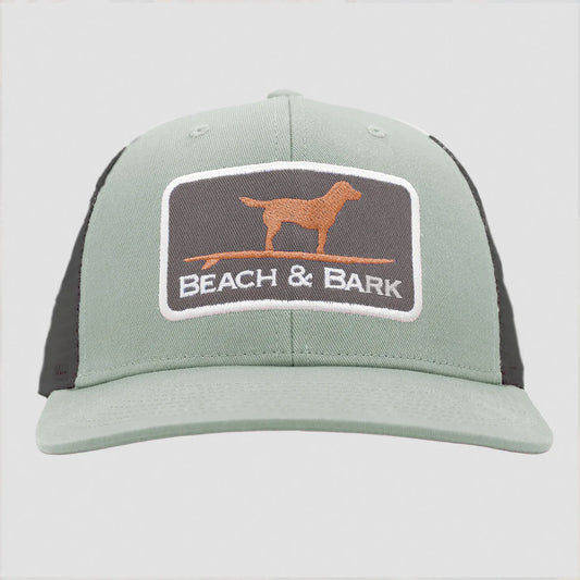 Beach & Bark Fern